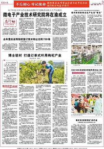 重慶高等院校技術(shù)轉(zhuǎn)讓成果豐碩，去年簽訂合同730項(xiàng)推動(dòng)創(chuàng)新發(fā)展