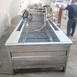 【果蔬清洗線、水產(chǎn)品清洗設(shè)備、土豆清洗設(shè)備、大棗清洗設(shè)備】- 